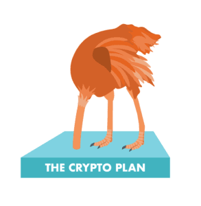 The Crypto Plan | Crypto Pool Virus| Clear Comfort AOP Pool System 